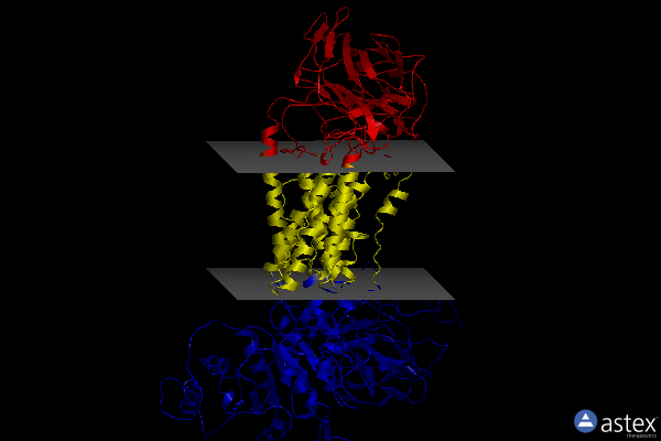 Membrane view of 7f7f