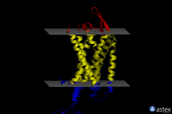 Membrane view of 7f8x
