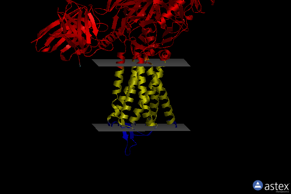 Membrane view of 7f9z