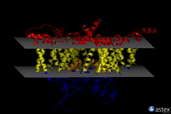 Membrane view of 7fbs