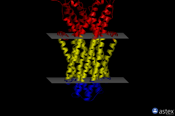 Membrane view of 7fc9