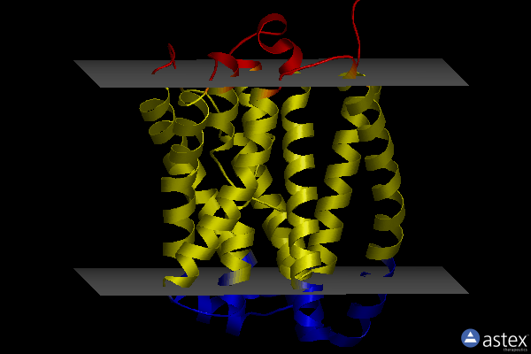 Membrane view of 7fci