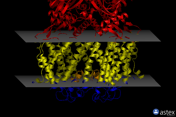 Membrane view of 7fcv