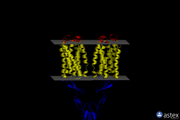 Membrane view of 7fd8