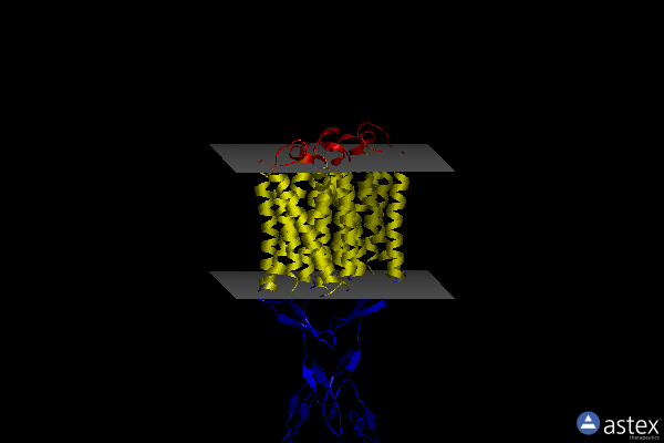 Membrane view of 7fd9