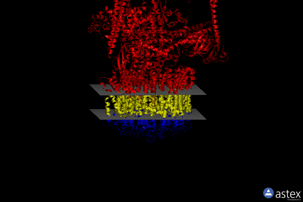 Membrane view of 7fda