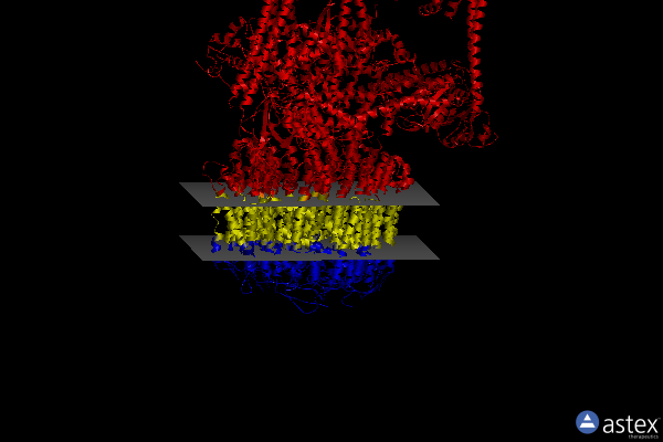 Membrane view of 7fdb