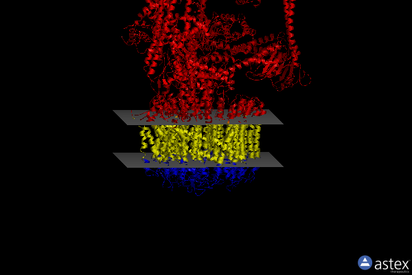 Membrane view of 7fdc