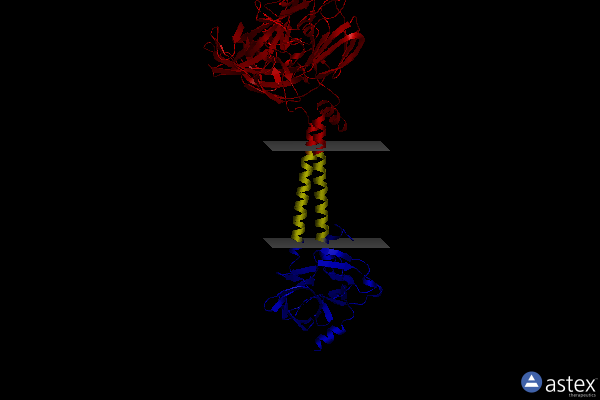 Membrane view of 7ffo