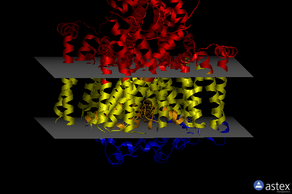 Membrane view of 7fhl