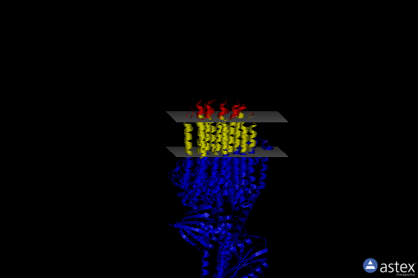 Membrane view of 7jg6