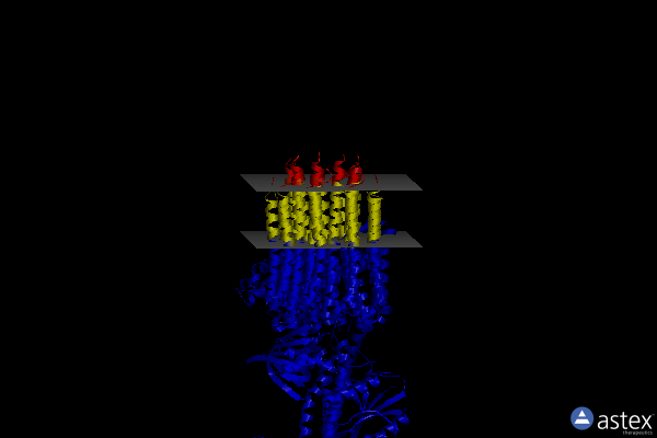 Membrane view of 7jg9