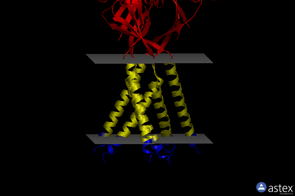 Membrane view of 7ji3
