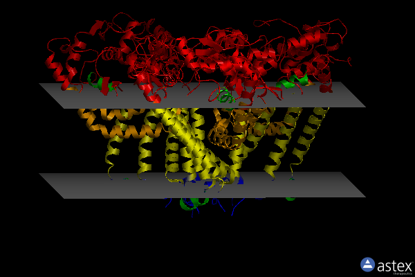 Membrane view of 7jlp