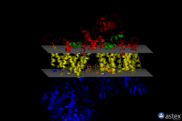 Membrane view of 7jpw