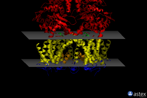 Membrane view of 7jup
