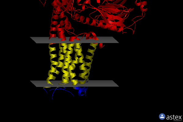 Membrane view of 7jvp