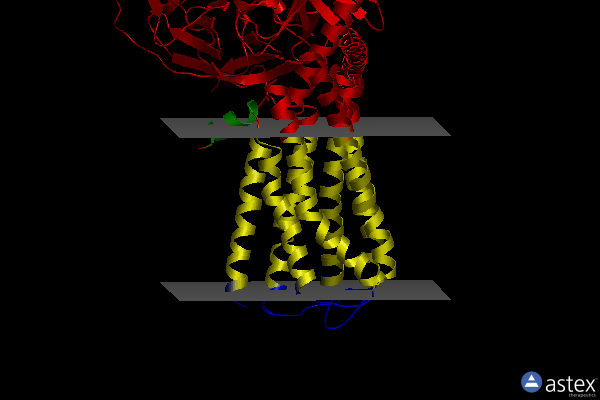 Membrane view of 7jvr