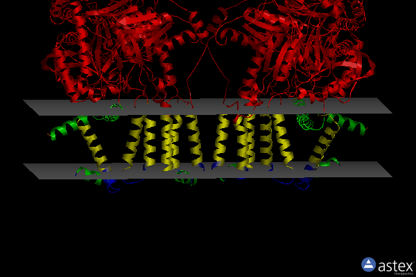Membrane view of 7k0n