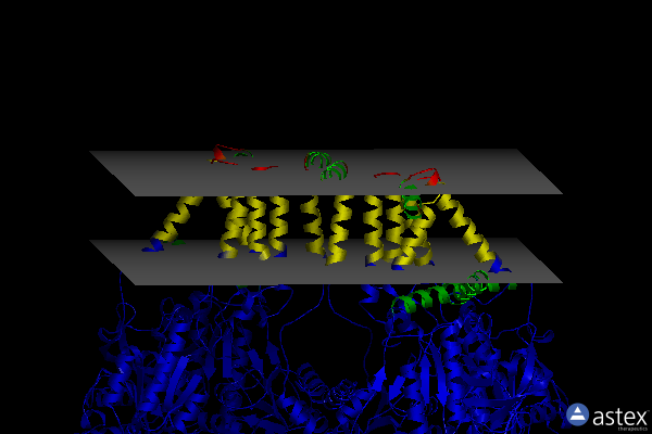 Membrane view of 7k0o