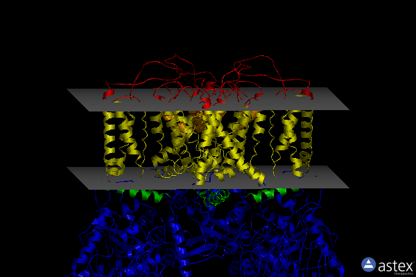 Membrane view of 7k4a