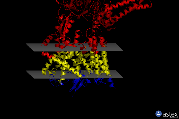 Membrane view of 7kai