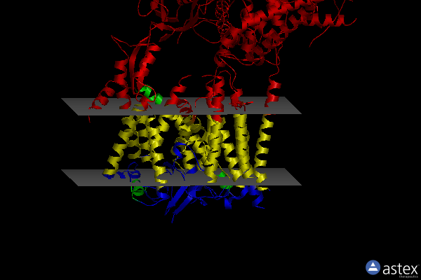 Membrane view of 7kan