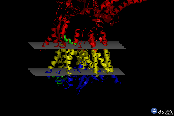 Membrane view of 7kao