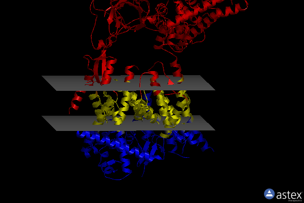 Membrane view of 7kas