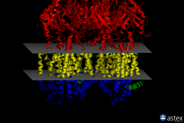 Membrane view of 7kf8
