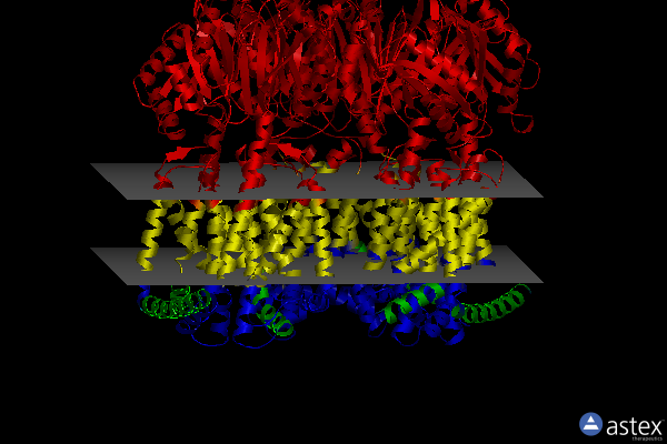 Membrane view of 7kge