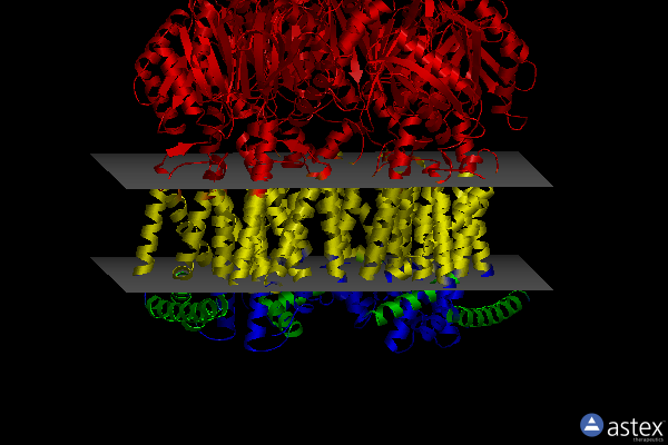 Membrane view of 7kgg