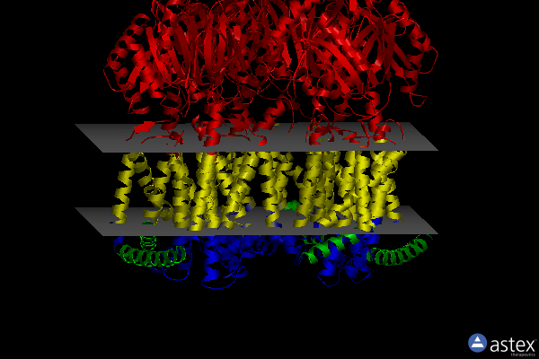 Membrane view of 7kgi