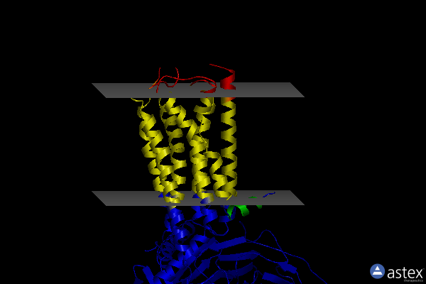 Membrane view of 7kh0