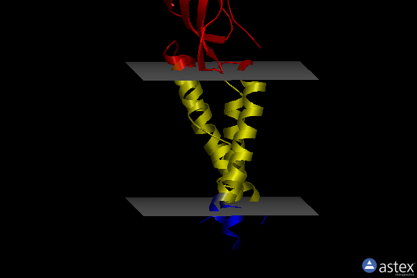 Membrane view of 7kk8