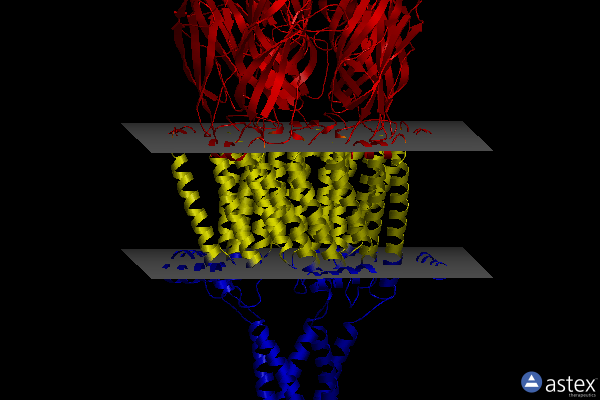 Membrane view of 7kox