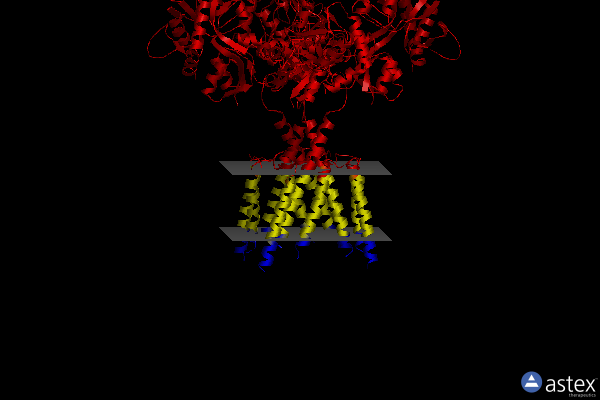 Membrane view of 7ks3