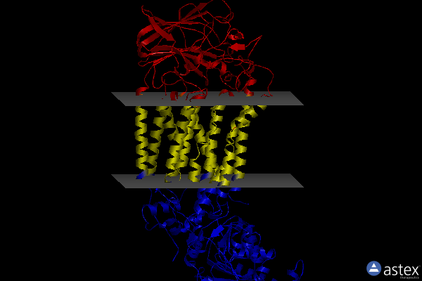 Membrane view of 7ky8