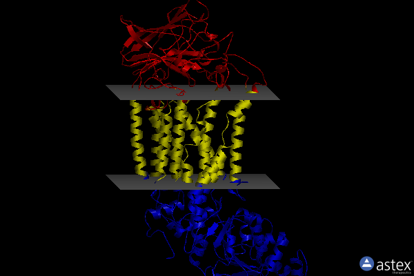 Membrane view of 7ky9