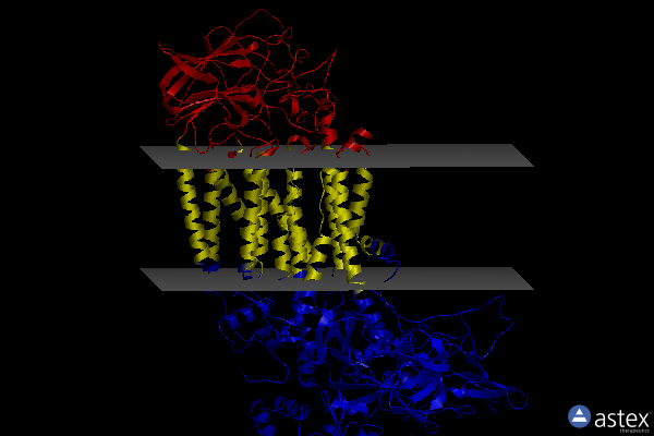 Membrane view of 7kya