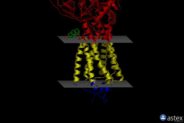 Membrane view of 7l0p