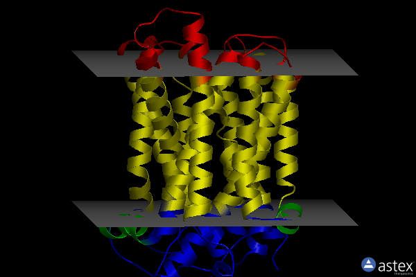 Membrane view of 7l17