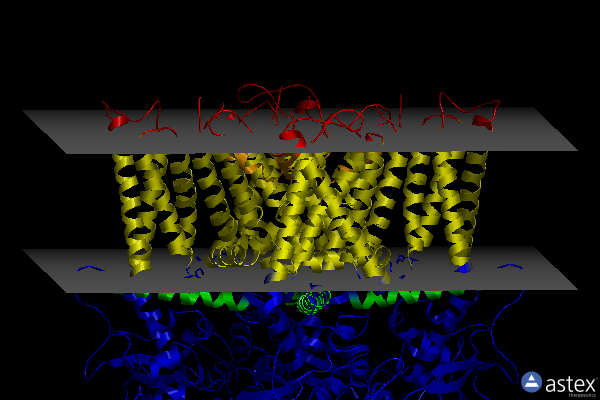 Membrane view of 7l2l