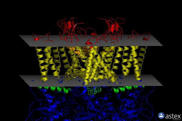 Membrane view of 7l2m