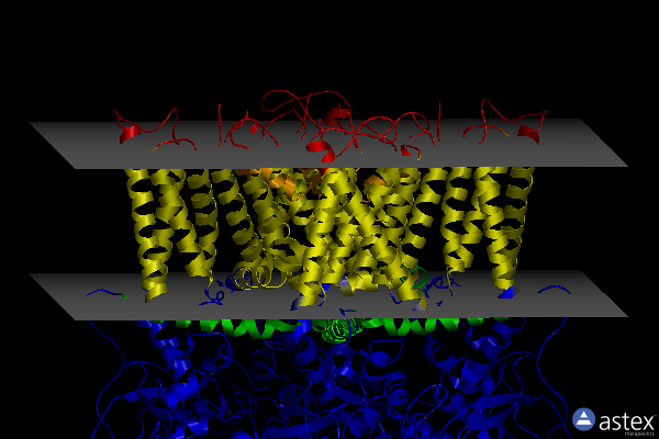 Membrane view of 7l2n