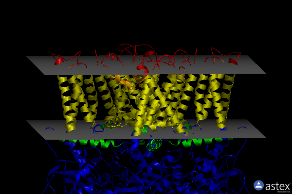 Membrane view of 7l2o