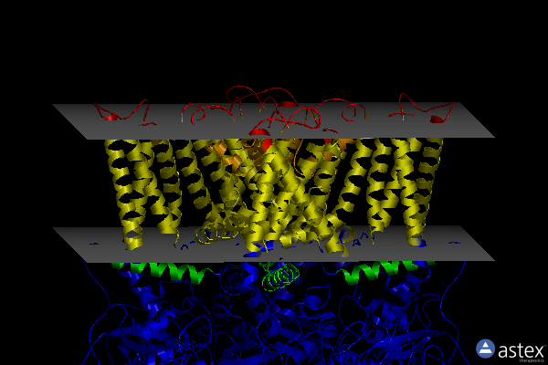 Membrane view of 7l2w