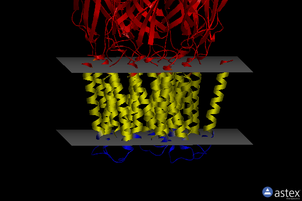 Membrane view of 7l6q
