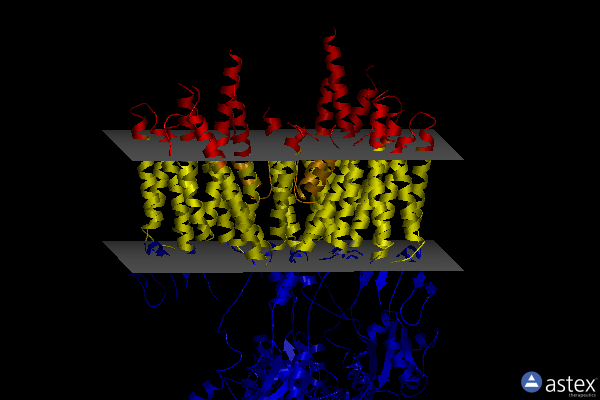 Membrane view of 7lep