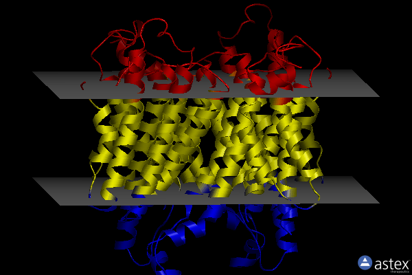 Membrane view of 7lf6